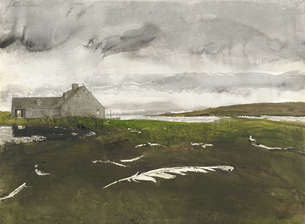 Andrew Wyeth, Airborne Study, 1996, watercolor on paper.